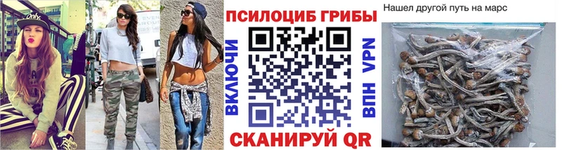 Галлюциногенные грибы Cubensis  купить закладку  Баксан 